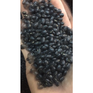 1kg đỗ đen đậu đen hạt to mới đẹp