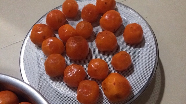 Máy sấy thực phẩm septree 16 tầng