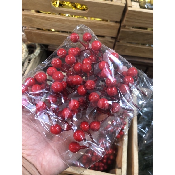 Set đào đông trang trí Noel