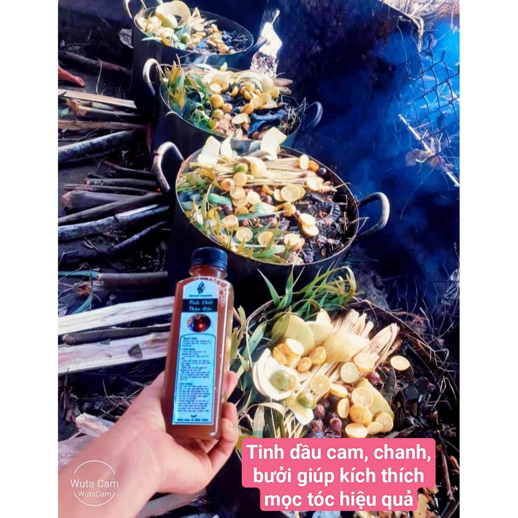 TINH CHẤT THẢO MỘC kích mọc tóc, ngăn rụng, trị gàu, nấm ngứa | BigBuy360 - bigbuy360.vn