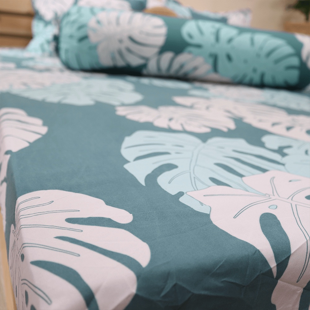 Ga trả giường Cotton Poly - Ga giường bo chun kích thước M2/M6/M8/2M2 - Siêu mềm mịn