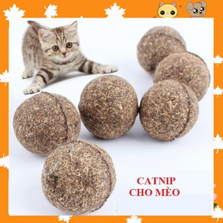 Bóng đồ chơi phủ cỏ bạc hà mèo catnip