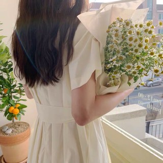 Đầm/Váy thiết kế xếp li thắt đai eo [Kèm ảnh thật]