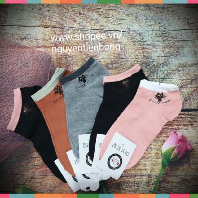 Sỉ 10 đôi tất mèo miu miu