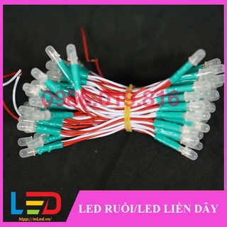 Led liền dây 12V (Led ruồi 12V) 100 bóng 1 bó