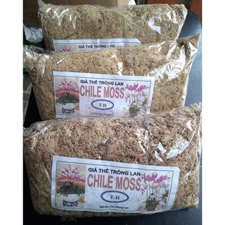 Combo3 gói Dớn trắng 100g dớn Chile trồng lan Hồ Điệp dớn trồng lan vật dụng trồng phong lan giữ ẩm cực tốt