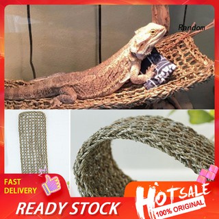 Võng Nằm Cho Thú Cưng Bò Sát