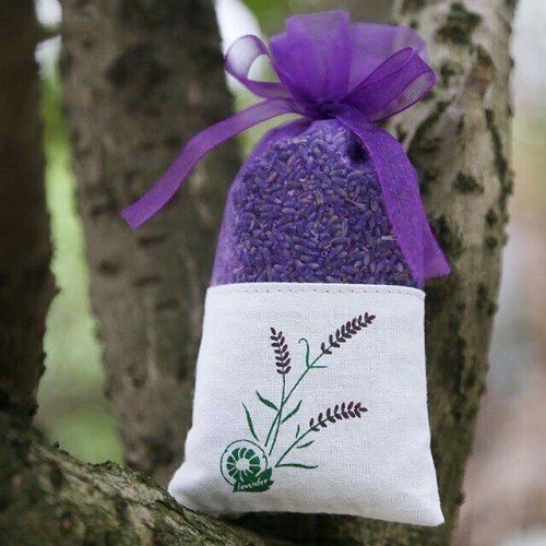 Nụ hoa khô Lavender, túi thơm hoa oải hương [Bán sỉ]