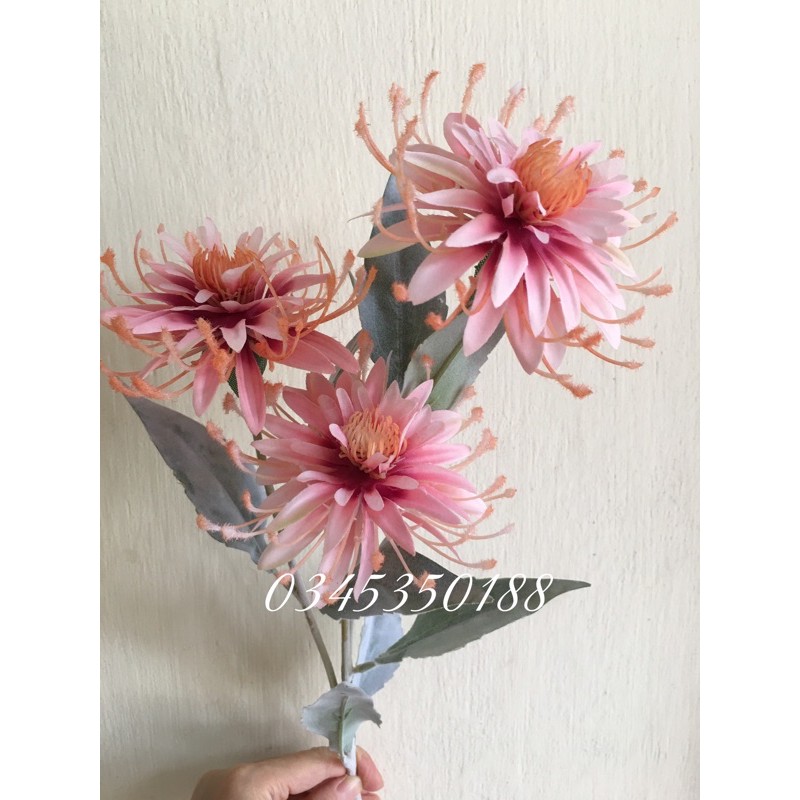 Hoa cúc giả - Hoa Cúc Bỉ Ngạn 1 cành 3 bông dài 70 cm (ảnh thật)