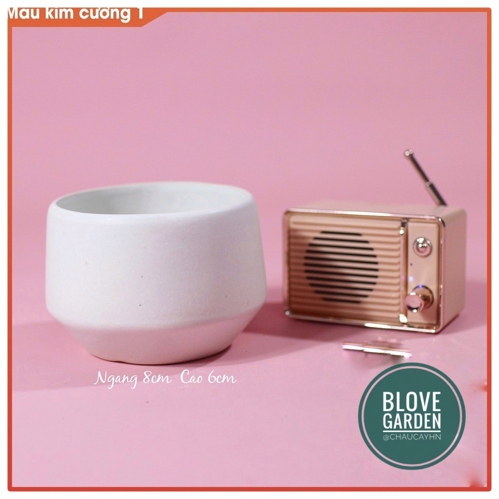 (6x8cm) Chậu kim cương thấp cao 6 cm trồng cây Để Bàn, Cây Nội Thất, Sen Đá, Xương rồng, Cây Bonsai