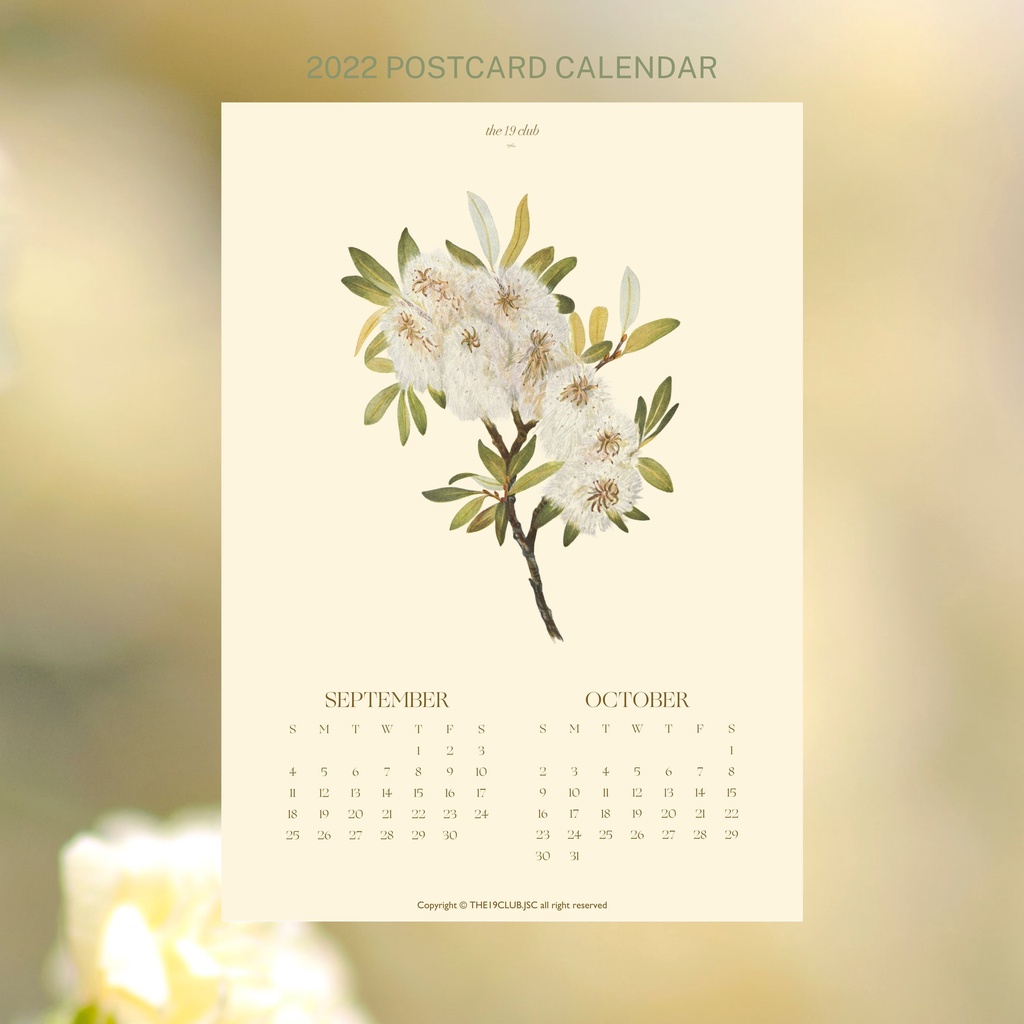 The19club - Bộ bưu thiếp lịch hoa 2022 kích thước A6 - Postcard Calendar