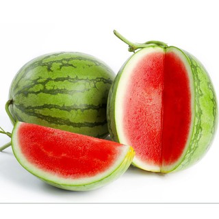 Hạt giống dưa hấu không hạt vỏ sọc Thái Lan 10 hạt (Kèm kích thích hạt nảy mầm)