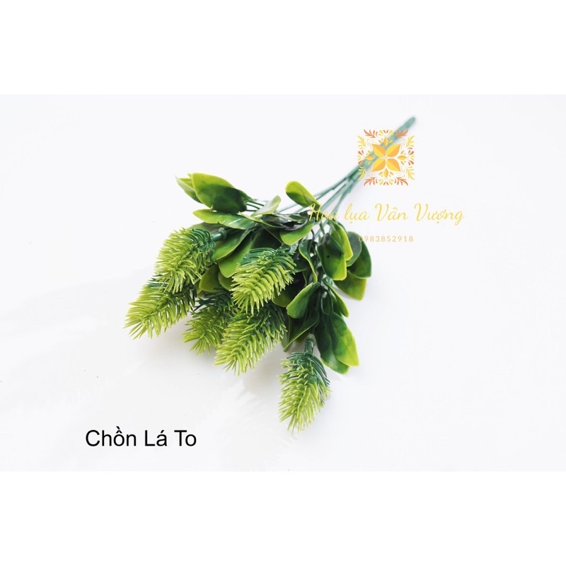 Hoa giả_cành điểm, cành chồn lá to