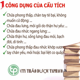 Cẩu tích khô túi lớn loại 1kg - Hàng thơm sạch cao cấp