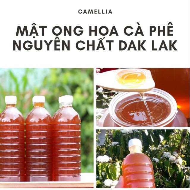 [Mã GROSALE giảm 10% đơn 150K] MẬT ONG RỪNG ĐẮK LAK nguyên chất 1 LÍT