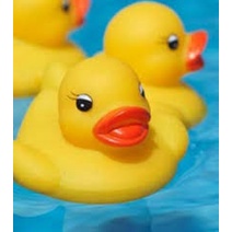 Set vịt bầy mẹ và 3 con bóp chít thả chậu tắm cho bé