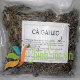 1KG Cà gai leo điều trị men gan cao