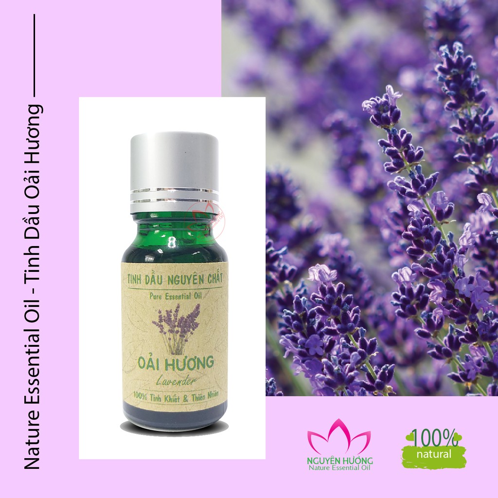 Tinh Dầu Oải Hương (Lavender) – 100% nguyên chất ( Treo xe, Xông thơm phòng.. ) Nguyên Hương | Thế Giới Skin Care