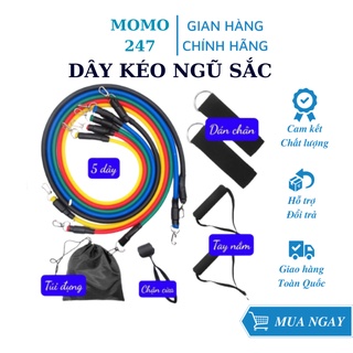 Dây ngũ sắc tập gym đa năng, dây 5 màu tập cơ tay chân