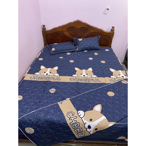 Sét ga phủ 3 món trân bồng cốt tông poly