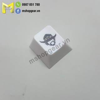 Keycap thick pbt dye-sub các hero trong game Overwatch