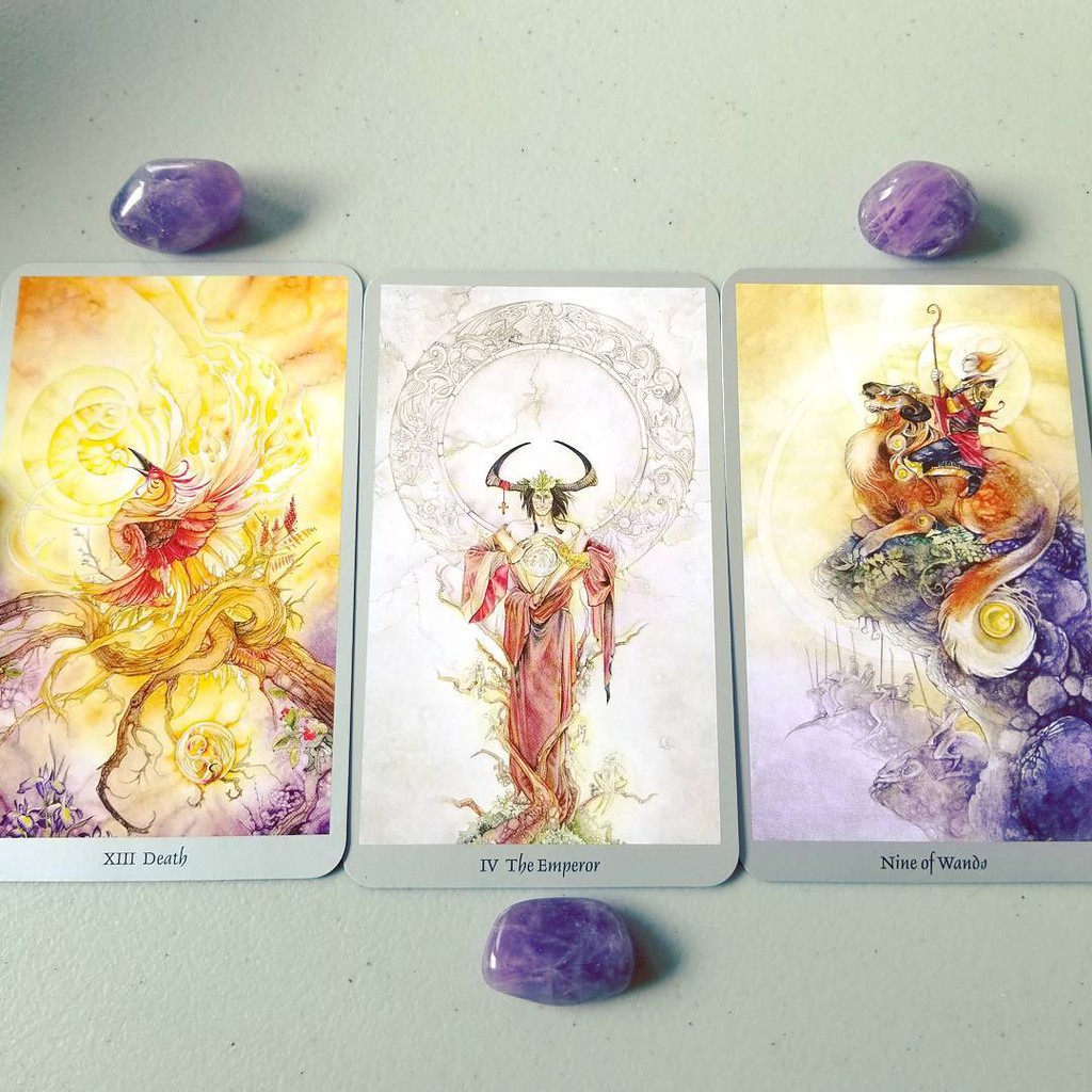 Bộ Bài Shadowscapes Tarot – Bookset Edition (Mystic House Tarot Shop)