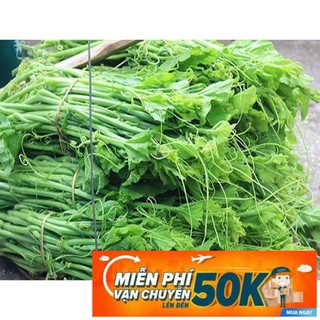 10g hạt giống bí siêu đọt và bông