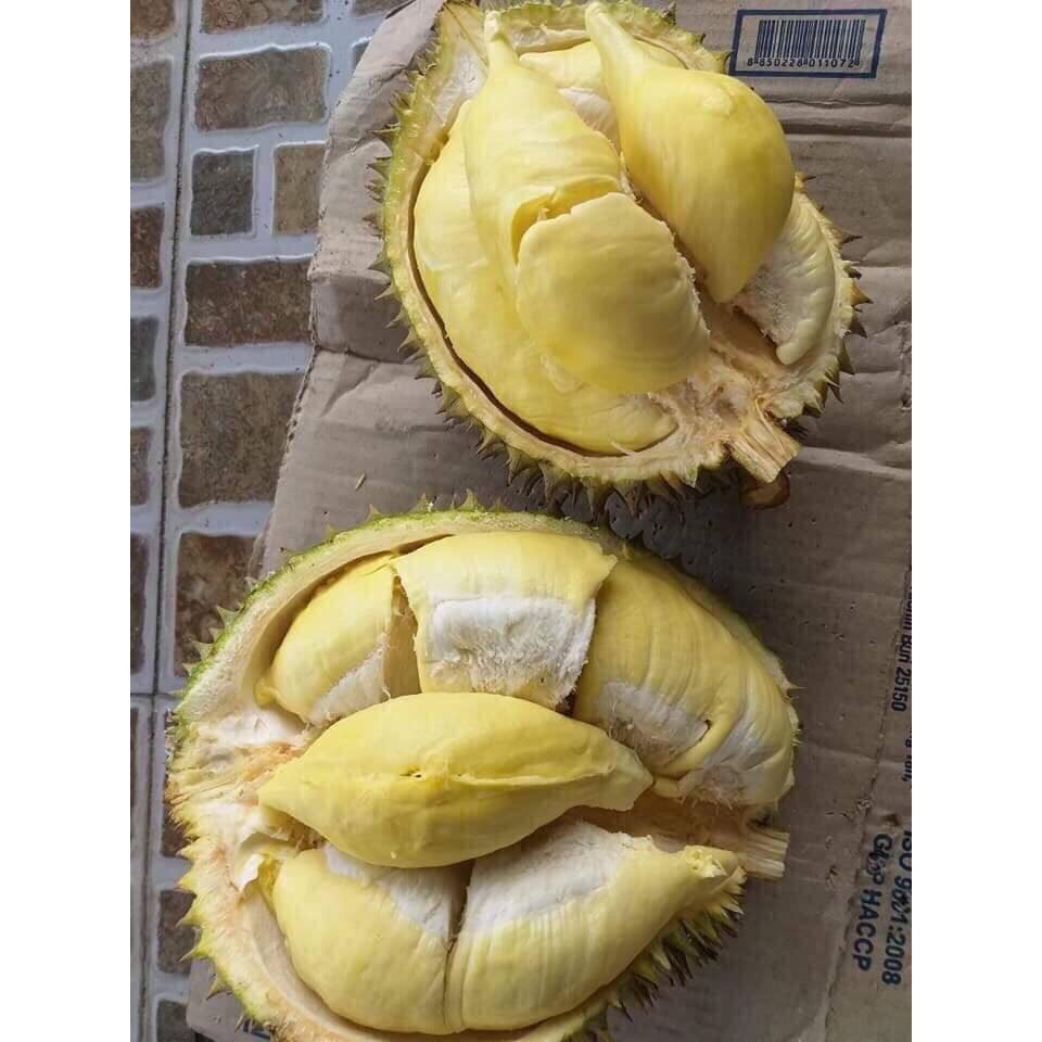 QUẢ SẦU RIÊNG ĐẦU MÙA LÂM ĐỒNG BAO ĂN QUẢ LỚN TỪ 2kg | BigBuy360 - bigbuy360.vn