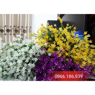 Combo hoa điểm và phụ kiện