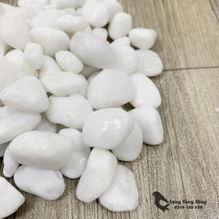 [ Nhiều size ] Đá sỏi trắng trang trí ( chọn size )