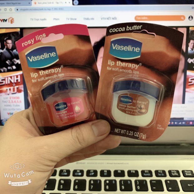 Son Dưỡng môi VASELINE 7g dạng hũ LOẠI RẺ cho KHÁCH SỈ đủ vị Siêu Thích Hot