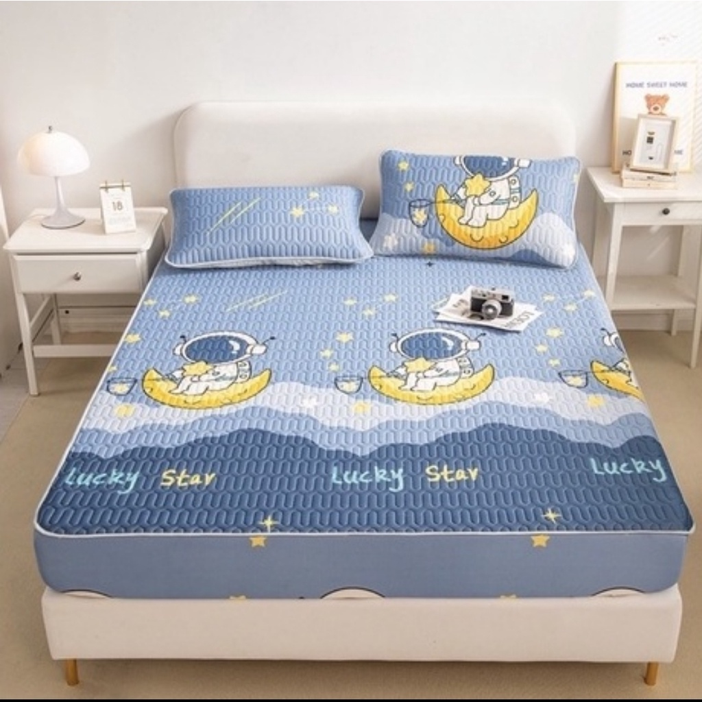 [ Tặng Kèm 2 Vỏ Gối ] Chiếu Điều Hòa Cao Su Non 3D Cao Cấp Êm - Mát - Dễ Ngủ