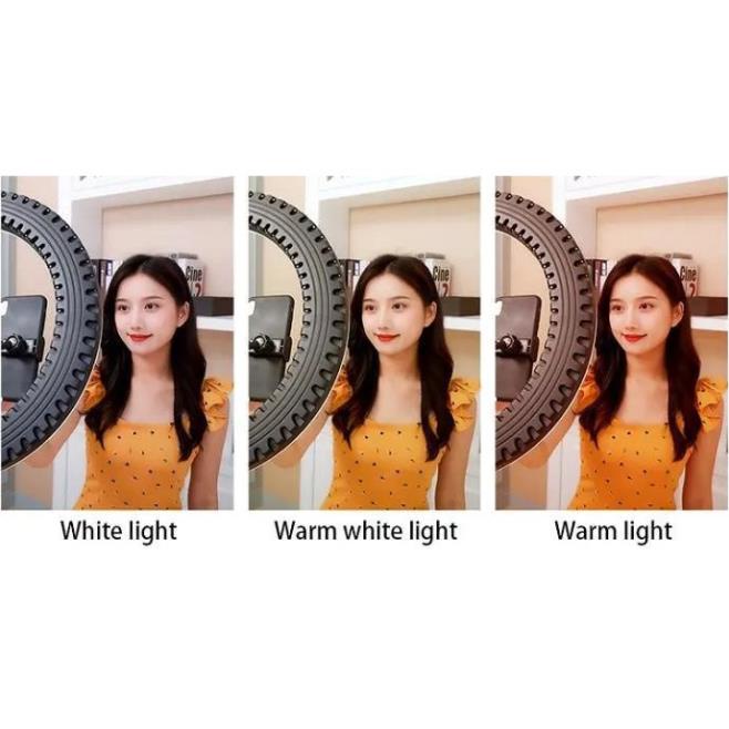 Đèn Led Ring livestream HQ