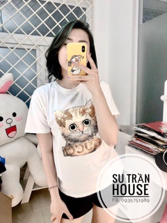 Áo thun quảng châu cao cấp