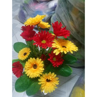 cụm Hoa đồng tiền vải lụa