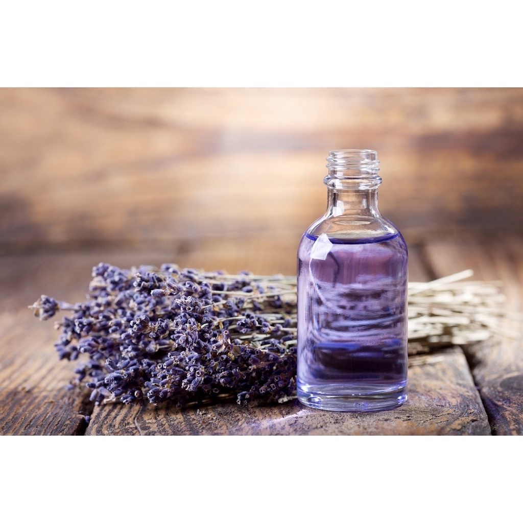 Tinh Dầu Lavender nhập khẩu 50ml, Tinh Dầu Oải Hương Cao cấp giúp thư giản, bảo vệ sức khỏe, khử trùng