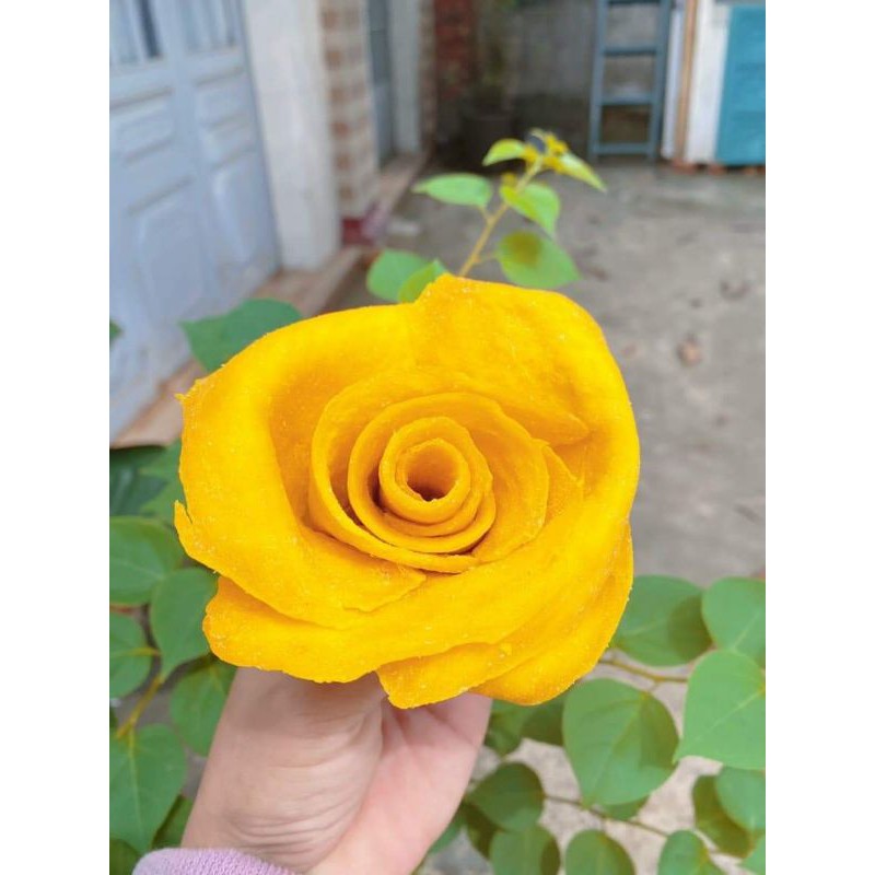 XOÀI SẤY DẺO LẠNH (500g)