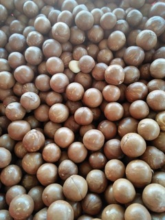 500g MẮCCA SẤY NỨT ĐẮK LẮK( size đại)