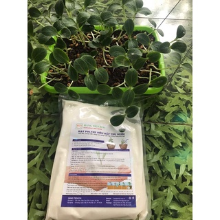 Hạt polyme siêu hấp thụ nước SAMS1 bịch 1Kg