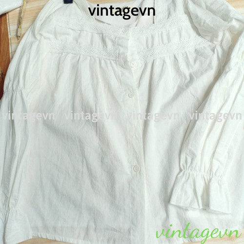 Áo babydoll tay bèo tiểu thư , sơ mi nữ cổ bèo tay FREESHIP 50K A010