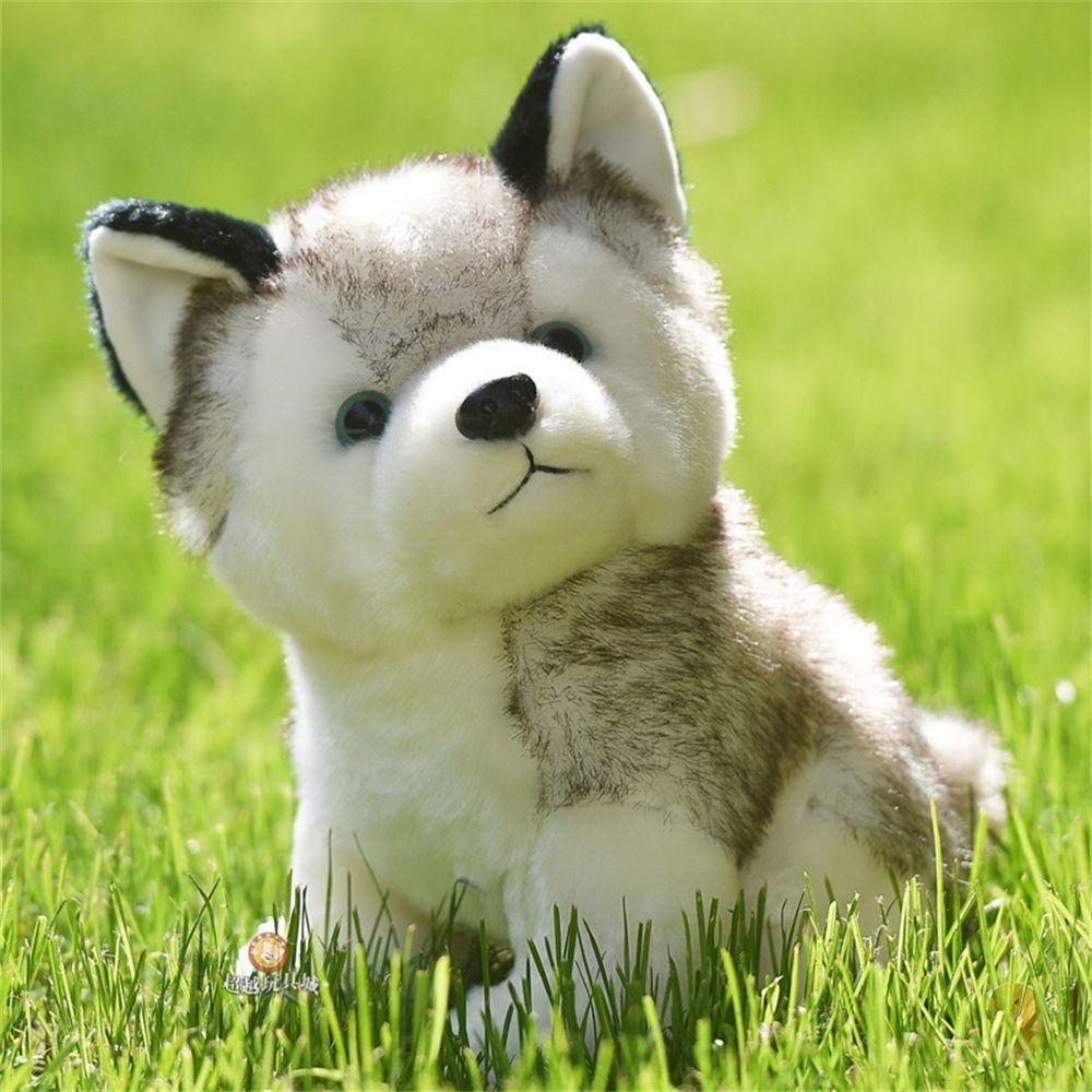Chú Chó Husky Nhồi Bông Đáng Yêu Cho Bé