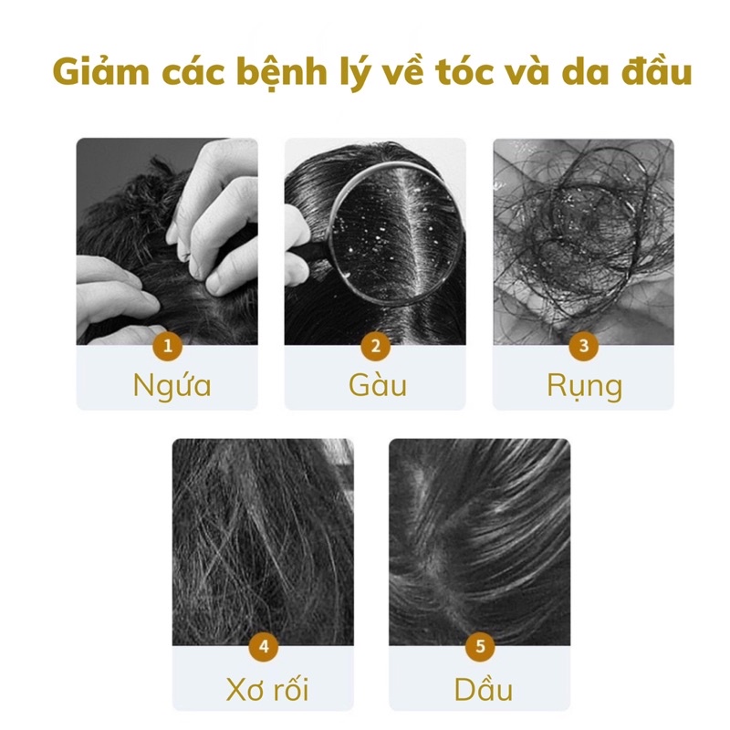 Dầu gội đầu, xả gừng nguyên chất không chứa silicon "Gừng By Bonnie"