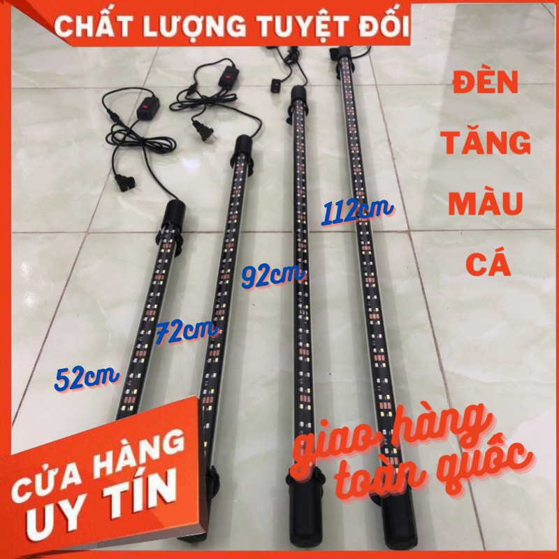 Đèn bể cá LÊN MÀU ĐẸP dành cho cá màu hồng màu đỏ