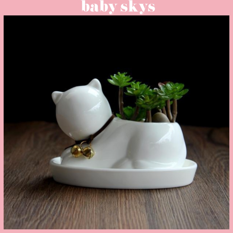 Chậu Trồng Cây Cảnh Mini Sen Đá Xương Rồng Hình Mèo Có Khay Lỗ Thoát Nước