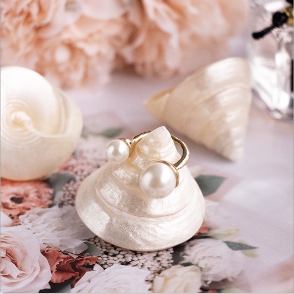 Vỏ Sò, Vỏ Ốc, San Hô Trang Trí Chụp Ảnh Trang Sức, Mỹ Phẩm - Shop Hohi Decor