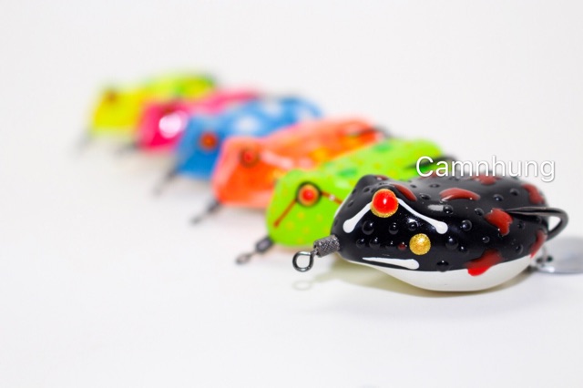 Nhái hơi mắt đó