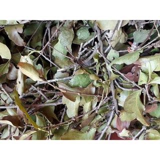 500g Tầm gửi gạo