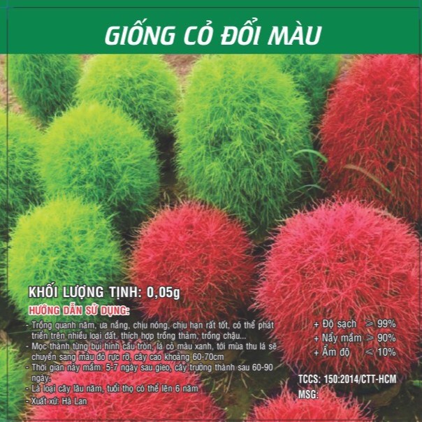 Hạt Giống Cỏ Đổi Màu 0.05gr
