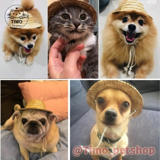 Nón Cói Cho Chó Mèo