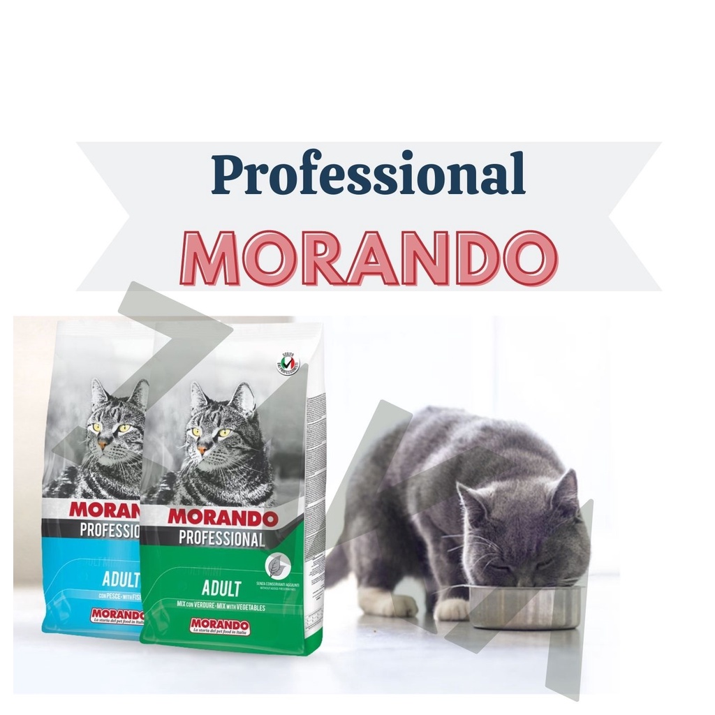 Hạt cho mèo morando 1kg